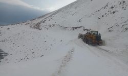 Muradiye’de yola düşen çığ temizlendi