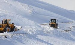 Van'da kapalı yolları ulaşıma açma çalışmaları sürüyor