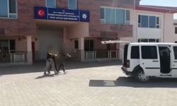 Van’da 1 organizatör tutuklandı