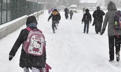 Van’da 3 ilçede eğitime kar tatili