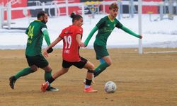 Vanspor, 10 maçtır kaybetmiyor