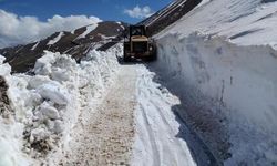 Başkale'de 5 metreyi bulan karda zorlu yol açma çalışması