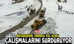 Büyükşehir, sınırda yol açma çalışmalarını sürdürüyor