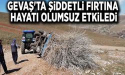 Gevaş'ta şiddetli fırtına hayatı olumsuz etkiledi