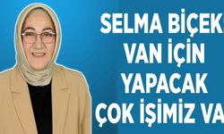 Selma Biçek: Van için yapacak çok işimiz var
