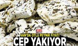 Van'da otlu peynir fiyatı, cep yakıyor