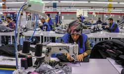 Van, istihdamda en düşük iller arasında