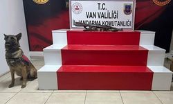 Van’da toprağa gömülü silah ve mühimmat bulundu