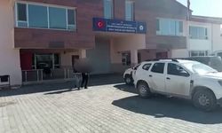 Van’da 2 organizatör tutuklandı