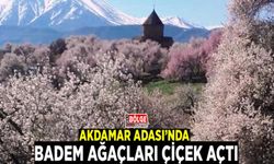 Akdamar Adası’nda badem ağaçları çiçek açtı