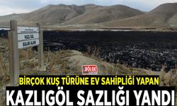 Birçok kuş türüne ev sahipliği yapan Kazlıgöl sazlığı yandı