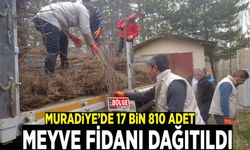 Muradiye’de 17 bin 810 adet meyve fidanı dağıtıldı