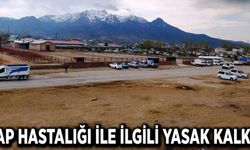 Şap hastalığı ile ilgili yasak kalktı