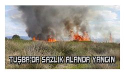 Tuşba'da sazlık alanda yangın