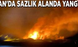 Van'da sazlık alanda yangın