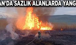 Van'da sazlık alanlarda yangın