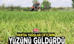 Van'da yağışlar çiftçinin yüzünü güldürdü