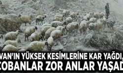 Van'ın yüksek kesimlerine kar yağdı, çobanlar zor anlar yaşadı