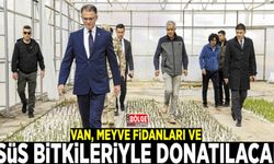 Van, meyve fidanları ve süs bitkileriyle donatılacak