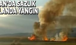 Van’da sazlık alanda yangın