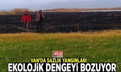 Van’da sazlık yangınları ekolojik dengeyi bozuyor
