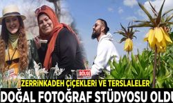 Zerrinkadeh çiçekleri ve terslaleler doğal fotoğraf stüdyosu oldu