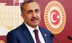 Arvas: Erdoğan, ender bir liderdir