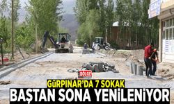 Gürpınar’da 7 sokak baştan sona yenileniyor