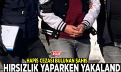 Hapis cezası bulunan şahıs hırsızlık yaparken yakalandı