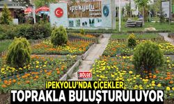 İpekyolu’nda çiçekler toprakla buluşturuluyor