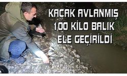 Kaçak avlanmış 100 kilo balık ele geçirildi