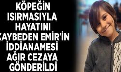 Köpeğin ısırmasıyla hayatını kaybeden Emir'in iddianamesi ağır cezaya gönderildi