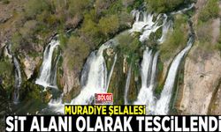 Muradiye Şelalesi sit alanı olarak tescillendi