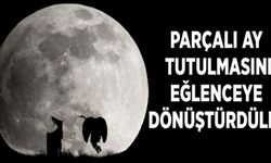 Parçalı ay tutulmasını eğlenceye dönüştürdüler