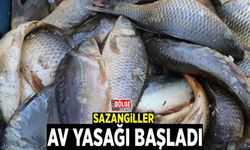 Sazangiller av yasağı başladı