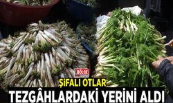Şifalı otlar tezgâhlardaki yerini aldı