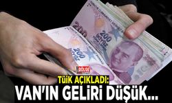 TÜİK açıkladı: Van'ın geliri düşük…