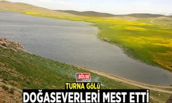 Turna Gölü doğaseverleri mest etti