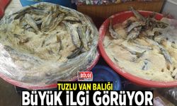 Tuzlu Van Balığı büyük ilgi görüyor