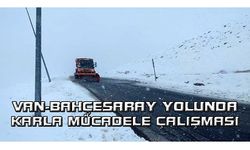 Van-Bahçesaray yolunda karla mücadele çalışması...