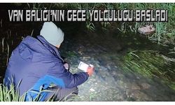 Van Balığı'nın gece yolculuğu başladı