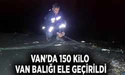 Van'da 150 kilo Van Balığı ele geçirildi