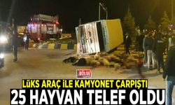 Van'da lüks araç ile kamyonet çarpıştı: 25 hayvan telef oldu