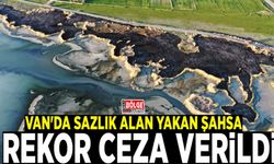 Van'da sazlık alan yakan şahsa rekor ceza verildi