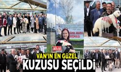 Van'ın en güzel kuzusu seçildi