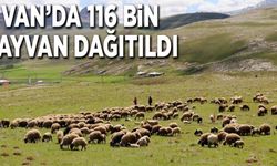 Van’da 116 bin hayvan dağıtıldı