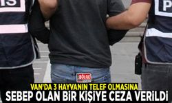 Van’da 3 hayvanın telef olmasına sebep olan bir kişiye ceza verildi