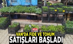Van’da fide ve tohum satışları başladı
