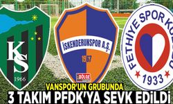 Vanspor'un grubunda 3 takım PFDK'ya sevk edildi