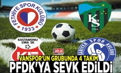 Vanspor'un grubunda 4 takım PFDK'ya sevk edildi